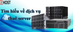 Những ai cần thuê server